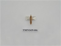 藏品(黃達頂苔蛾)的圖片